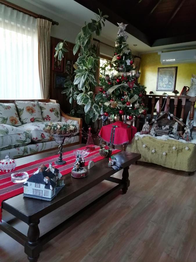 Posada Selva Negra Τεμούκο Εξωτερικό φωτογραφία